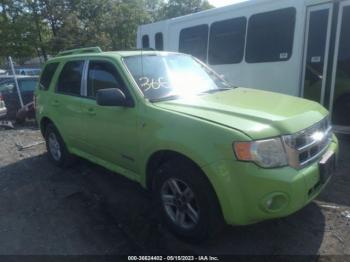  Salvage Ford Escape