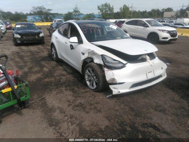  Salvage Tesla Model Y