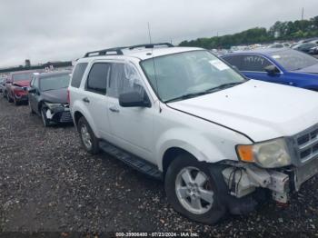  Salvage Ford Escape