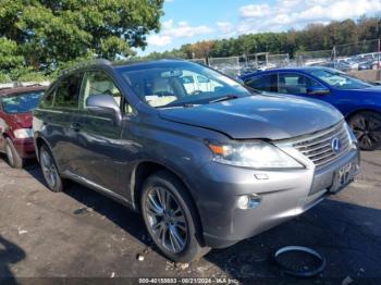  Salvage Lexus RX