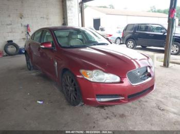  Salvage Jaguar XF