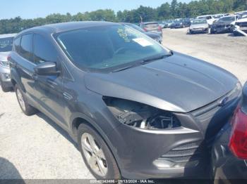  Salvage Ford Escape