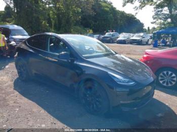  Salvage Tesla Model Y