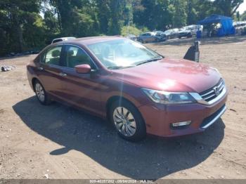  Salvage Honda Accord