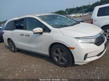  Salvage Honda Odyssey