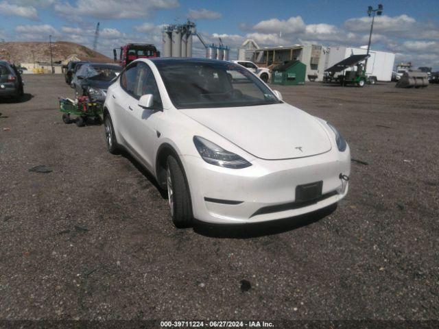  Salvage Tesla Model Y