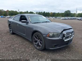  Salvage Dodge Charger