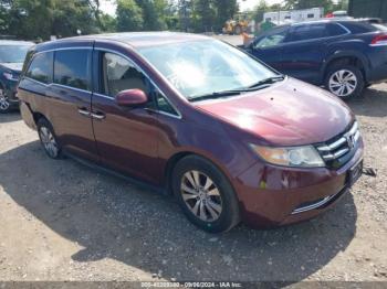  Salvage Honda Odyssey