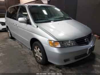  Salvage Honda Odyssey