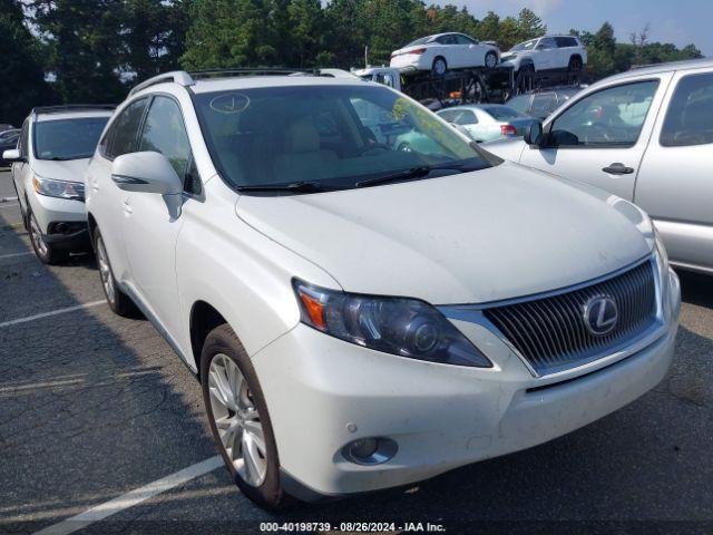  Salvage Lexus RX