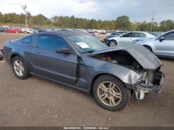  Salvage Ford Mustang