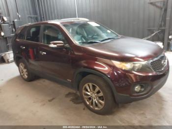  Salvage Kia Sorento