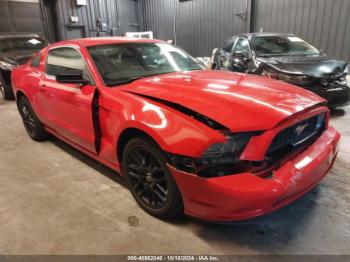  Salvage Ford Mustang