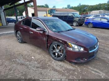  Salvage Nissan Maxima