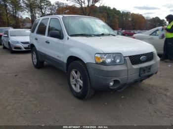  Salvage Ford Escape