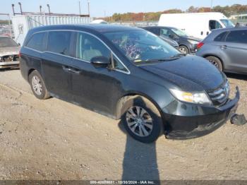  Salvage Honda Odyssey