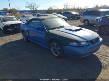  Salvage Ford Mustang