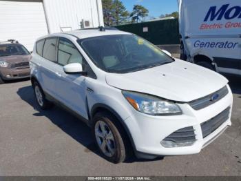  Salvage Ford Escape