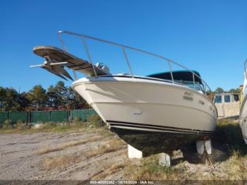  Salvage Sea Ray Other