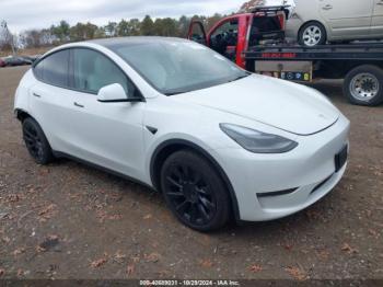  Salvage Tesla Model Y