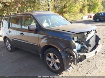  Salvage Honda Pilot