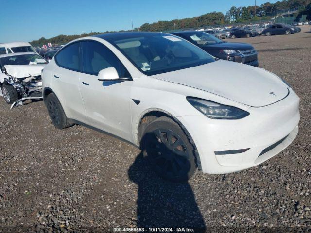  Salvage Tesla Model Y