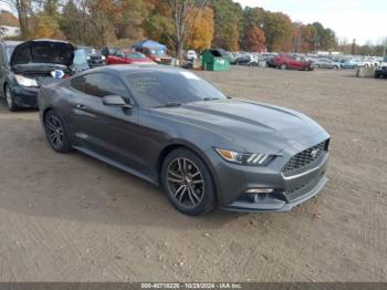  Salvage Ford Mustang