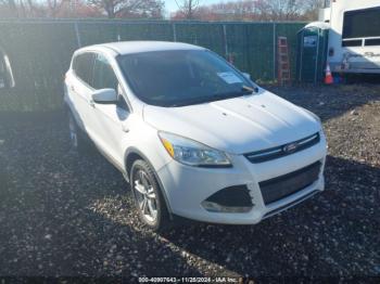  Salvage Ford Escape