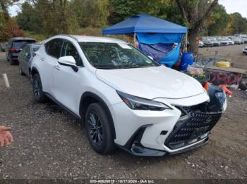  Salvage Lexus NX