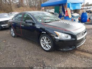  Salvage Nissan Maxima