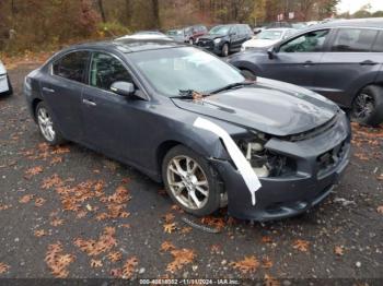  Salvage Nissan Maxima