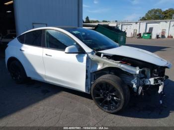  Salvage Tesla Model Y