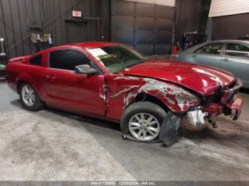  Salvage Ford Mustang