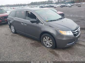  Salvage Honda Odyssey