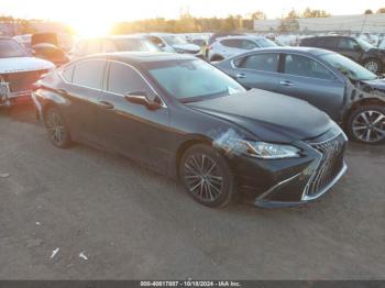  Salvage Lexus Es