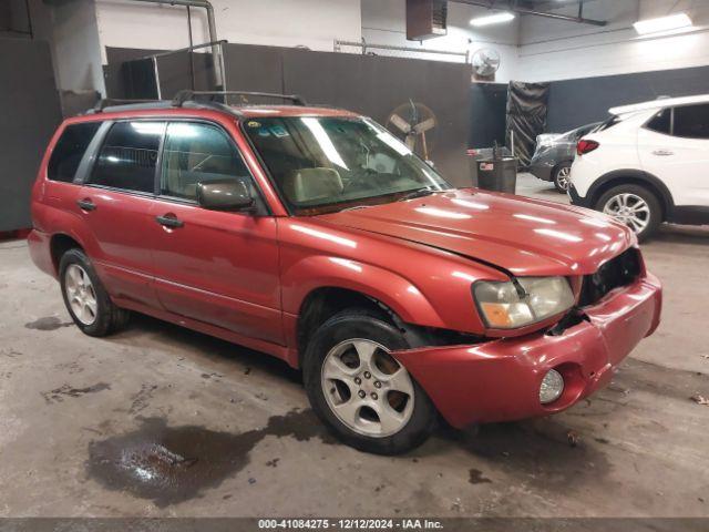  Salvage Subaru Forester