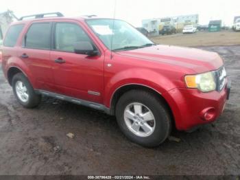  Salvage Ford Escape