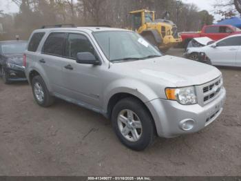  Salvage Ford Escape