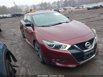  Salvage Nissan Maxima