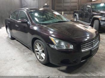  Salvage Nissan Maxima