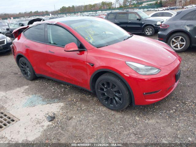  Salvage Tesla Model Y