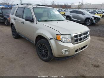  Salvage Ford Escape