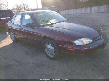  Salvage Chevrolet Lumina