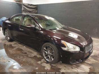  Salvage Nissan Maxima