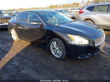  Salvage Nissan Maxima