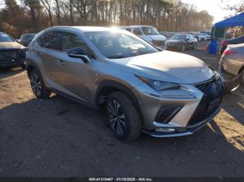  Salvage Lexus NX