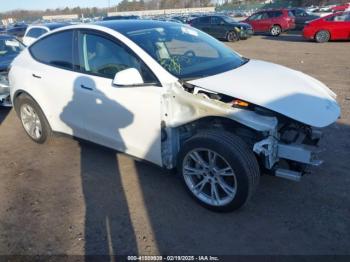  Salvage Tesla Model Y