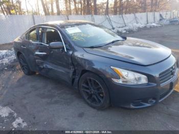  Salvage Nissan Maxima