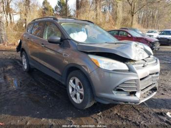  Salvage Ford Escape