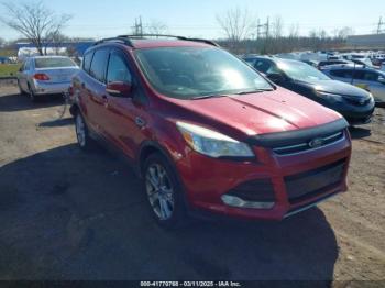  Salvage Ford Escape